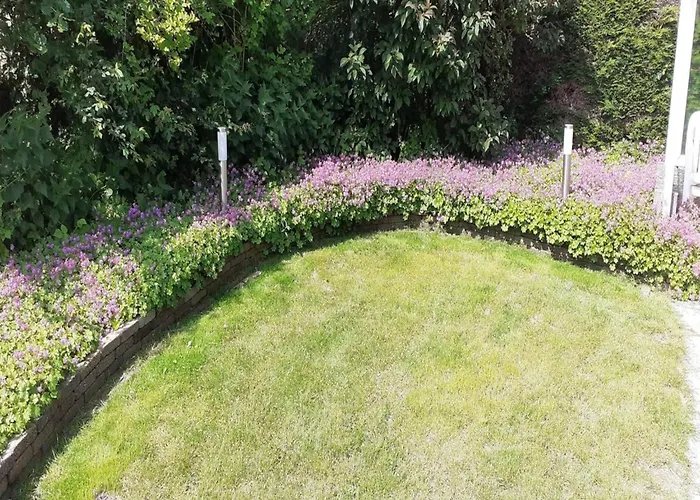 Feriehus Comfortable 6-person Sint Maartensvlotbrug